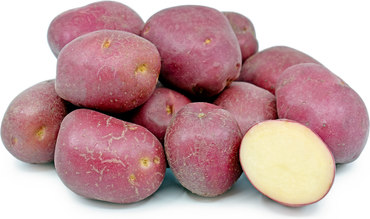 Organic - 50 Lbs Bag of Potatoes - Red
