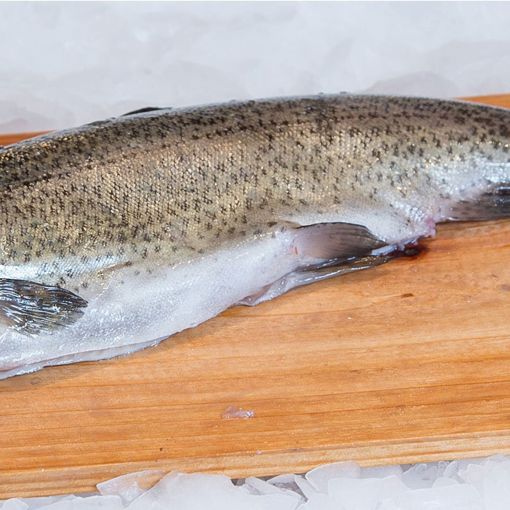Steelhead Trout - Whole Fish - 5-7 Pounds