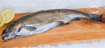 Steelhead Trout - Whole Fish - 5-7 Pounds