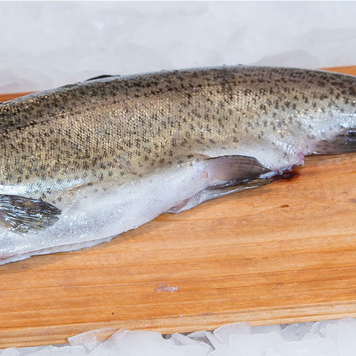 Steelhead Trout - Whole Fish - 5-7 Pounds