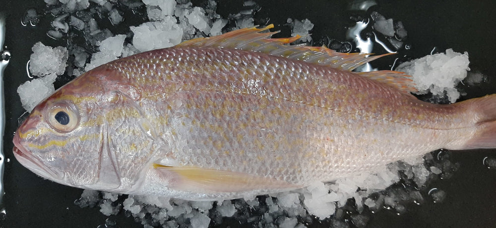 Wild Caught Whole White Fish (Frozen)