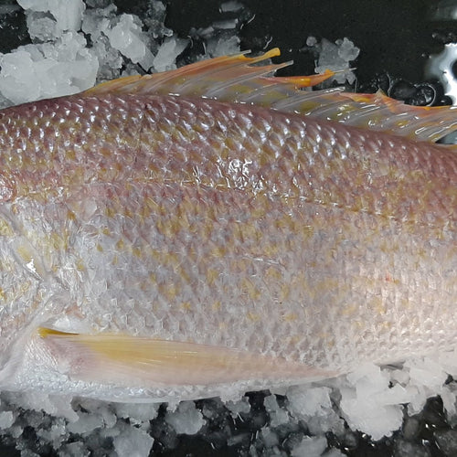 Wild Caught Whole White Fish (Frozen)