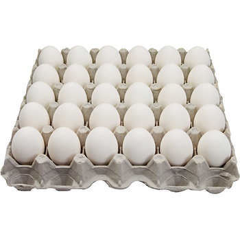 Hutterite Eggs - Flat